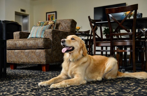 Touro Hotel | St. Charles Inn