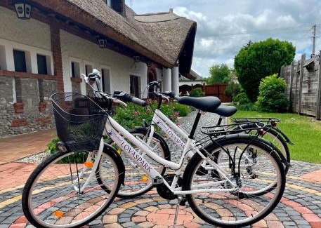 Vasszentmihaly Bed & Breakfast | St.Michael Panzió Lovaspark