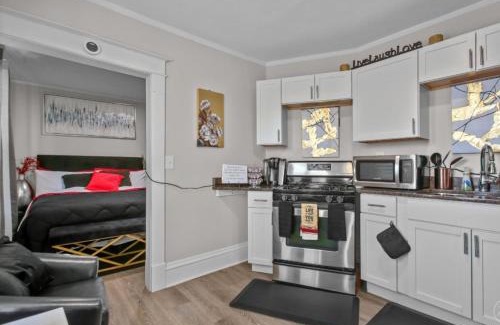 Midway Apartment | St. Paul Fry Street Den West Suite #2