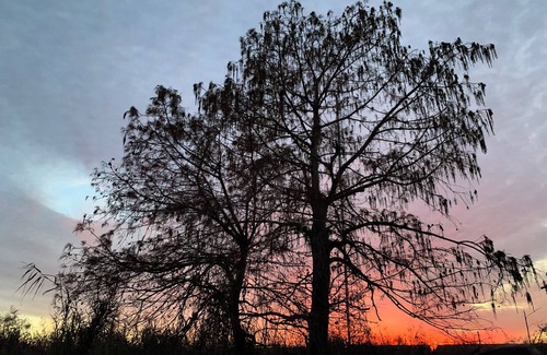 Bourg Cabin | STAB'N KAB'N on the BAYOU; 4bd, 4bth w/boat launch access!