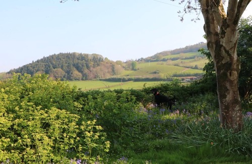 Alcombe Cottage | Stables Cottage, Nr Minehead