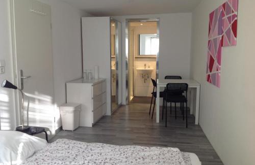 Waldshut-Tiengen Apartment | Stadtmitte Ferienwohnung Waldshut