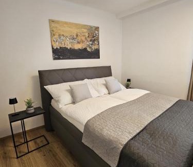 Wels Apartment | Stadtoase Wels II