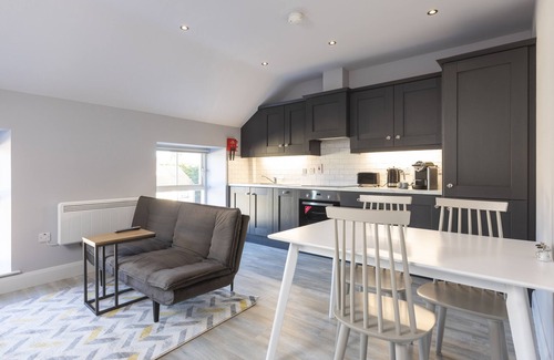 Donaghmore Apartment | Standard Apartment with Street View Ground Floor at Rooms at the Lower House