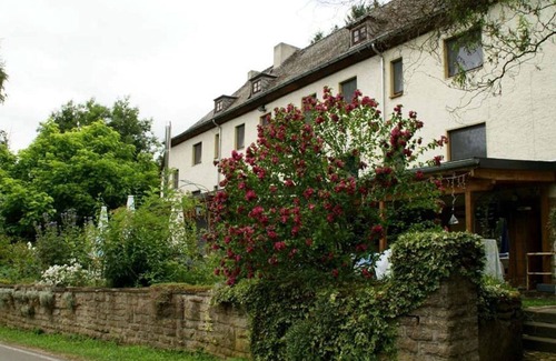 Ammeldingen an der Our Apartment | Standard Double Room - Hotel-Restaurant Altes Zollhaus