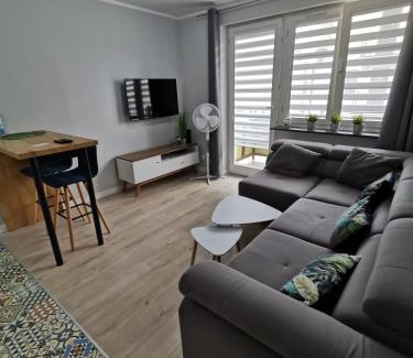 Glogow Apartment | Stare Miasto