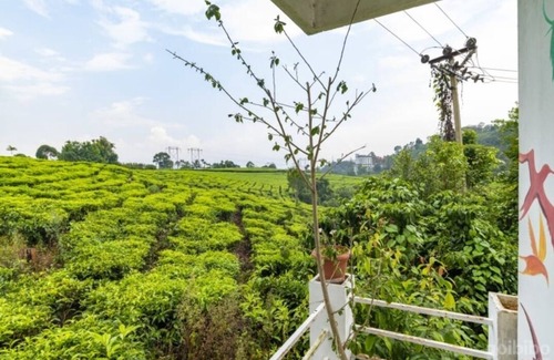 Chithirapuram Cottage | Starlit holidays homes Chithirapuram near Munnar - Room #1