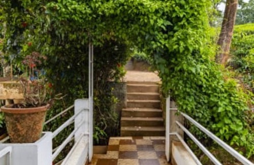 Chithirapuram Bed & Breakfast | Starlit holidays homes Chithirapuram near Munnar