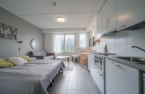 Sirkka Apartment | Starveil Studio 207 by Aavalevi Holidays