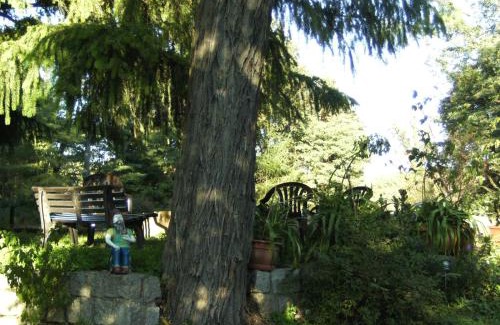 Miedzychod Apartment | Staw