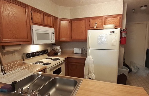 Davis Condo | Stay a week this time for GREAT discounts! Cozy Canaan Condo w/National Forest.
