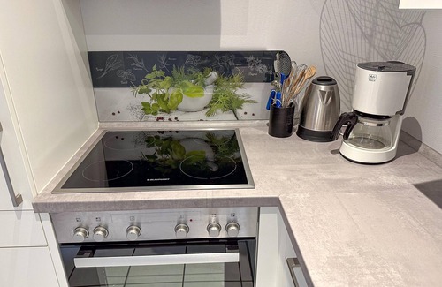 Trittenheim Apartment | Stay at the wine-farmer, directly at the Moselle