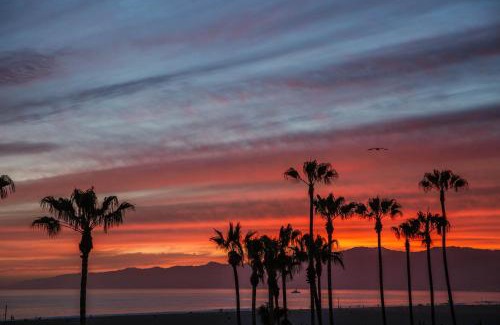 Venice Hotel | STAY OPEN Venice Beach