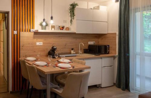 Sfantu Gheorghe Apartment | Stay & Spa Central