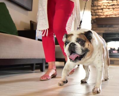 Lake Delton Hotel | Staybridge Suites - Wisconsin Dells - Lake Delton by IHG