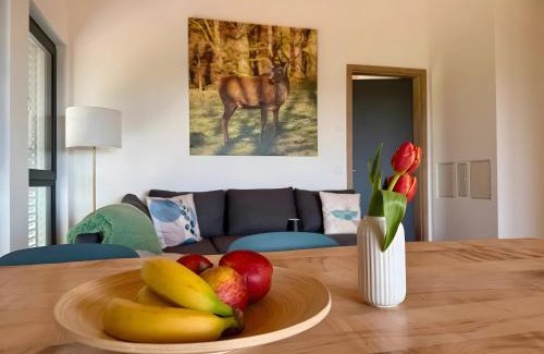 Wolpadingen Apartment | Steinackerhof - 2 Ferienwohnungen
