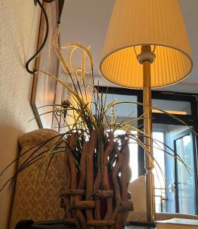 Region Hannover District Apartment | Steinhuder Meer 1 Zi Ferienwohnung Vogelnest am See Sauna Balkon Fahrstuhl