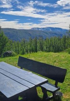 Al House | Steinstølen by Norgesbooking - cabin with a lovery view