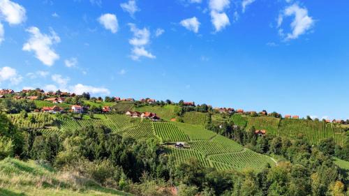 Greisdorf House | steiRerBLiCke- Chalet Hochgrailblick