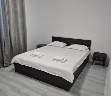 Ciurea Apartment | Stejarilor Apartment