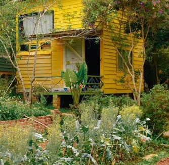 Moc Chau Other | Stella Mộc Châu homestay