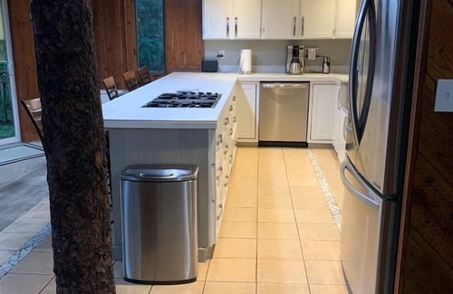 Alyeska Ski Chalet | Stellar Blue Chalet - Sleeps 6+. Pets on approval. Near Alyeska Ski Resort