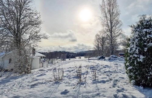 Mullsjo House | Step into a decorative cottage with a rustic flair.