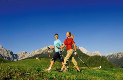 Annaberg im Lammertal Apartment | Steuer 59 App 6 Annaberg