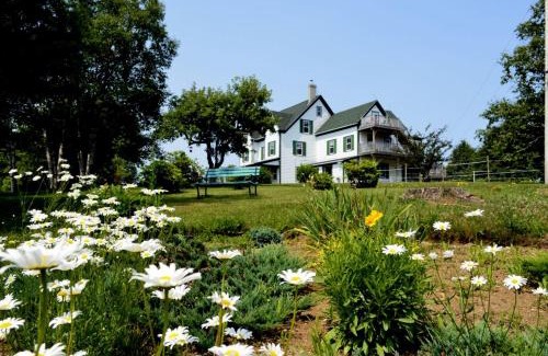 Deep Brook Cabin | Still Point Lodge