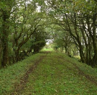 Letterston House | Stone cottage in rural Pembrokeshire