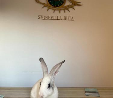 Himare Hotel | Stonevilla Buta