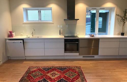 Porsgrunn Apartment | Stort hus i Porsgrunn sentrum med gangavstand til "alt" & gratis parkering til flere biler