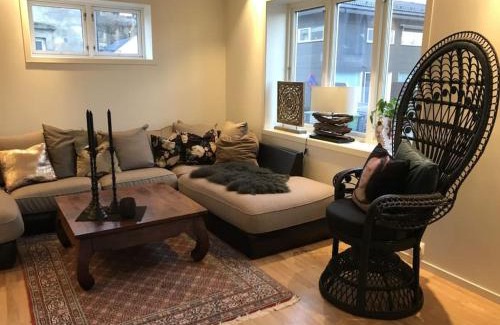 Porsgrunn Apartment | Stort hus i Porsgrunn sentrum med gangavstand til "alt" & gratis parkering til flere biler