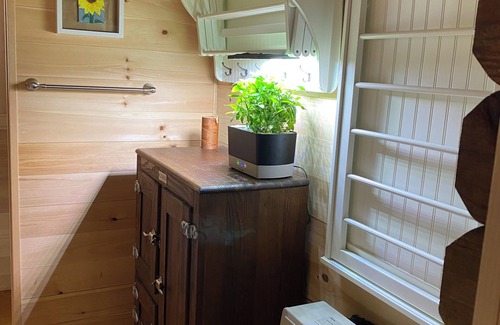 Moscow Cottage | Stowe Adventure! Private Forest & Lake, Comfortable, 5 mins to town
