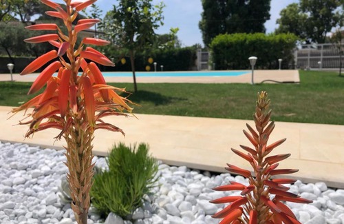 Fondi Bed & Breakfast | STRAPALU'