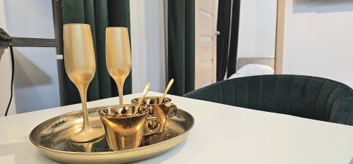 Inowroclaw Apartment | Strefa Solanki - Villa Vita 6