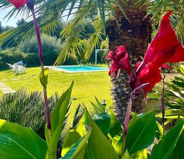 Avola House | Strelitzia's house with heated pool , private garden and private parking & wi-fi