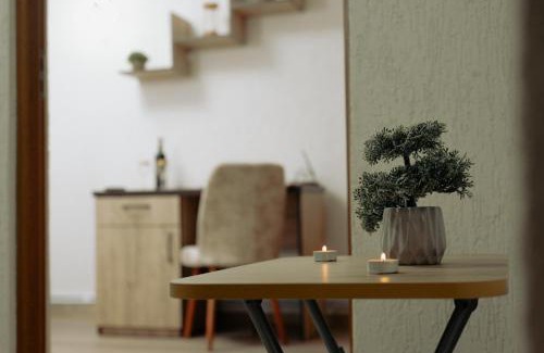 Petrosani Apartment | Studio 63