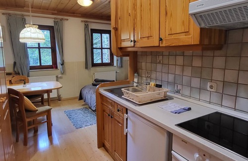 Ambroz pod Krvavcem Apartment | Studio Apartment on Krvavec ski resort with sauna