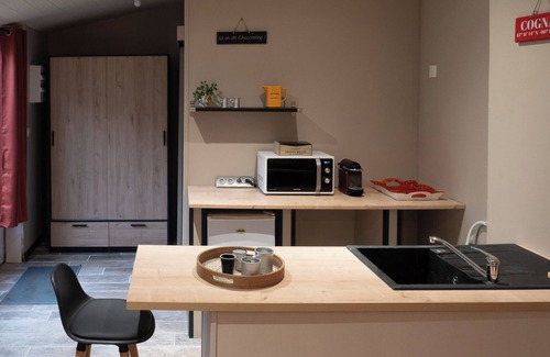 Louzac-Saint-Andre Apartment | Studio Apartment 'La Salamandre Enchantée' with Shared Pool, Private Terrace and Wi-Fi