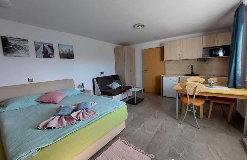 Cerklje na Gorenjskem Apartment | Studio apartma Žirovnik