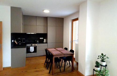 Zelezna Ruda Apartment | Studio Apartman 22, Rezidence Javor