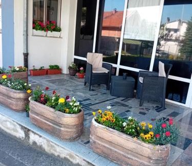 Mali Radic Apartment | Studio apartman Sokak