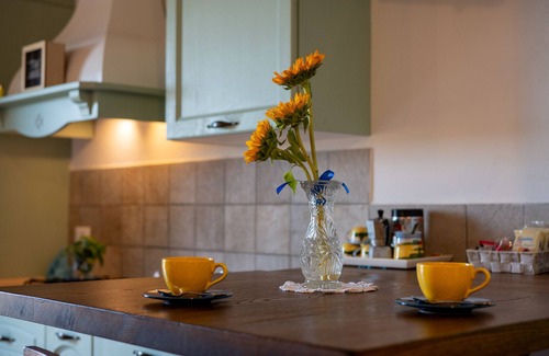 Castel del Piano Apartment | Studio Apartment 'Il Bosco' with Shared Terrace, Shared Garden and Wi-Fi