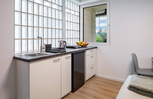Bad Krozingen Apartment | Studio Apartment 'Schlatt' with Wi-Fi