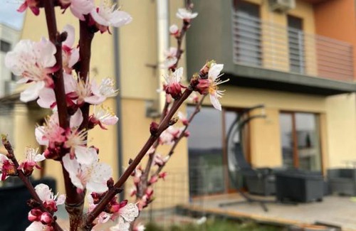 Cluj-Napoca Apartment | Studio Apartment in Panoramic House