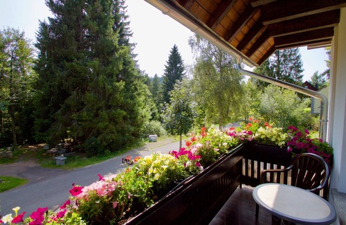 Blasiwald Apartment | Studio Apartment 'Mit Balkon Und Du' with Mountain View, Shared Terrace and Wi-Fi