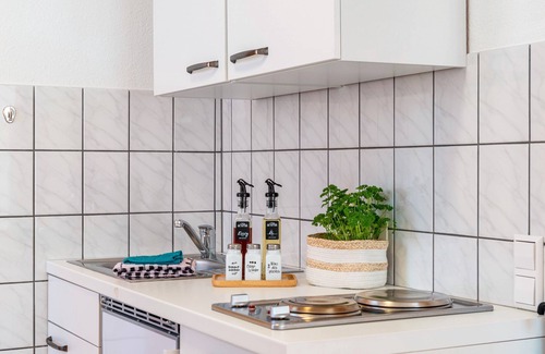 Bad Duerrheim Apartment | Studio Apartment 'No. 5' with Balcony, Shared Garden and Wi-Fi