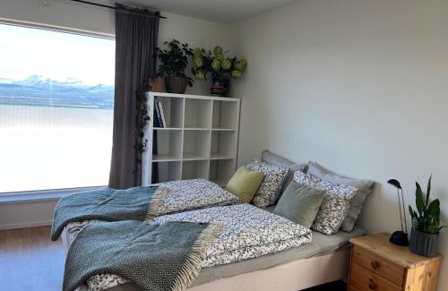 Narvik Apartment | Studio apartment near Narvikfjell Gondola