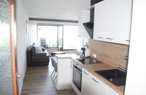 Irsengund Apartment | Studio Apartment 'Traumblick Appartement Oberreute' with Mountain View, Private Terrace and Wi-Fi